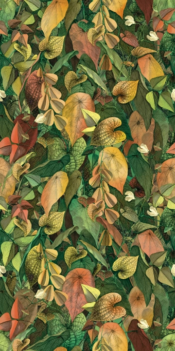 Cotto D'este Wonderwall Foliage A+B naturalna 50x100 cm gr. 4 mm